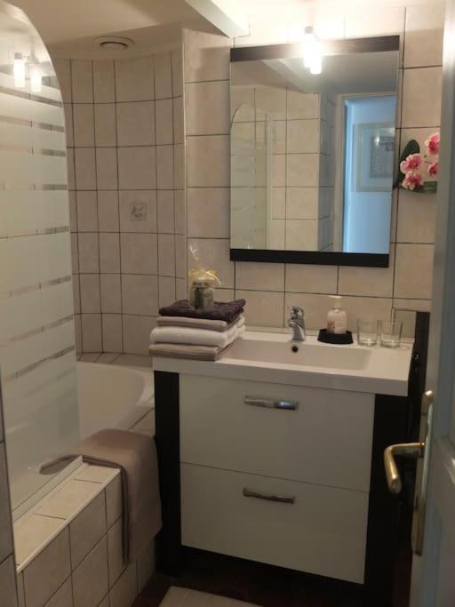 Charming Flat In Historical Centre Apartment Дижон Екстериор снимка