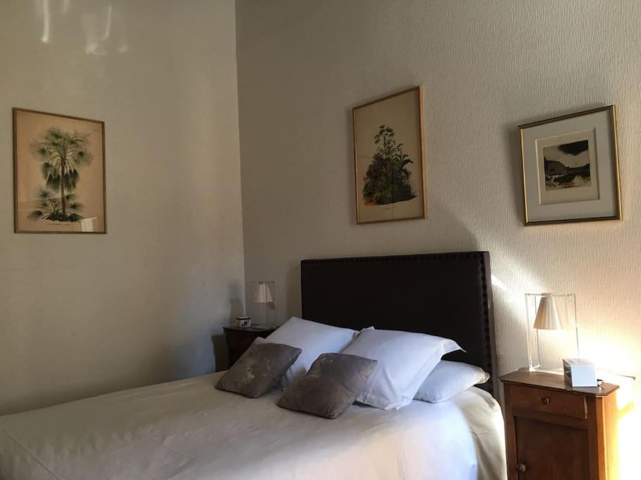 Charming Flat In Historical Centre Apartment Дижон Екстериор снимка