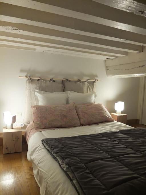 Charming Flat In Historical Centre Apartment Дижон Екстериор снимка